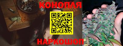 индика Мариинск