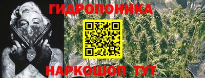 ПСИЛОЦИБИНОВЫЕ ГРИБЫ Малоярославец