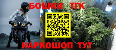 индика Мариинск