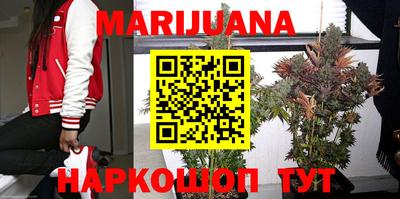 индика Мариинск