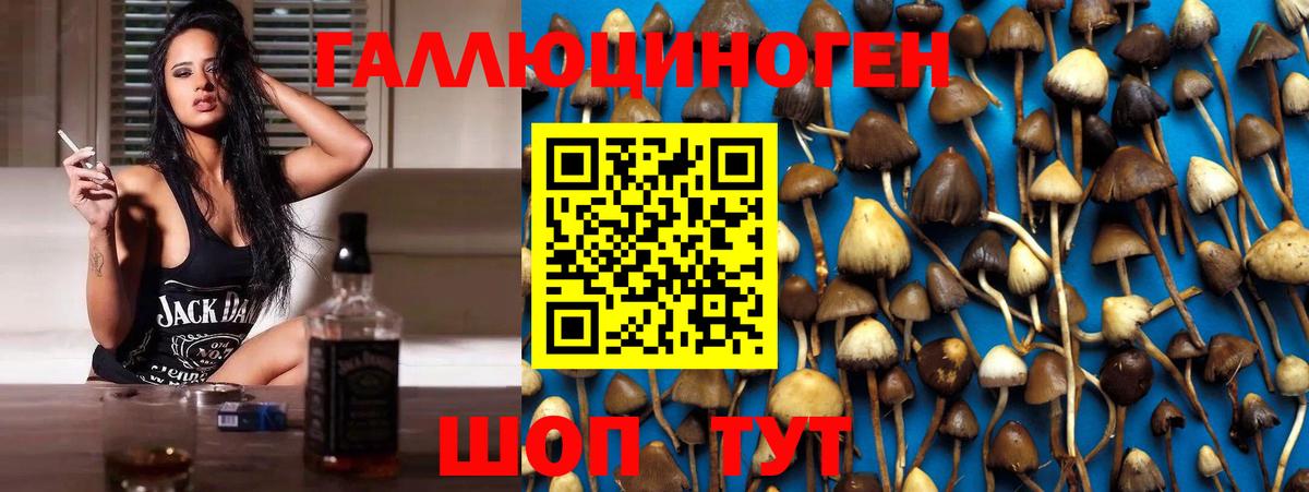 Галлюциногенные грибы MAGIC MUSHROOMS  Галлюциногенные грибы прущие грибы  Вход с VPN  Сарапул 